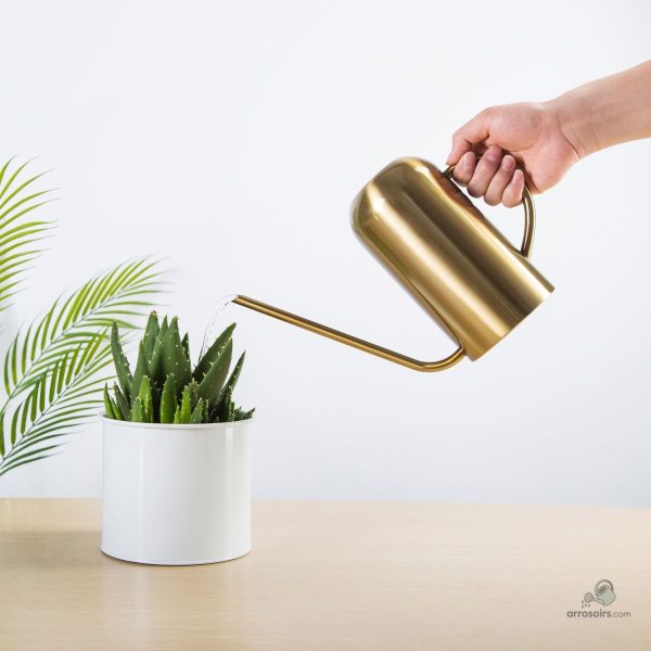 Arrosoir pour un arrosage délicat de vos fleurs