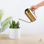 Arrosoir fin pour arroser les plantes d'intérieur