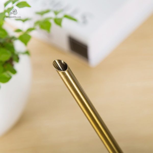 Arrosoir avec bec étroit pour un arrosage ciblé