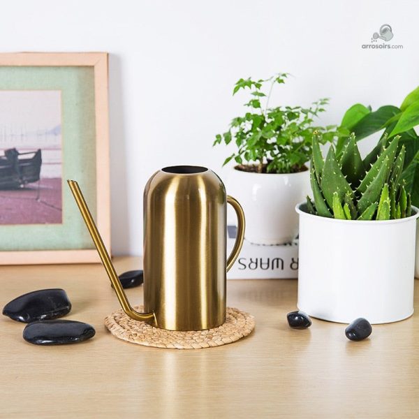 Accessoire de jardinage : arrosoir à long bec