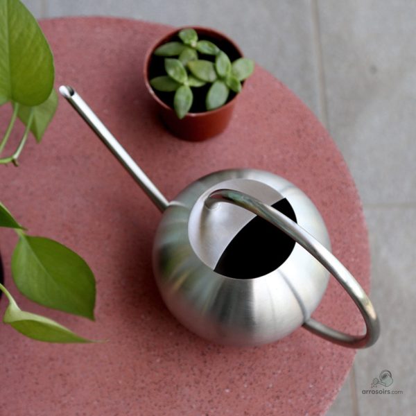 Arrosoir en acier pour arroser vos plantes avec facilité