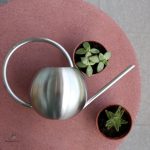 Arrosoir en acier inoxydable, idéal pour les amateurs de jardinage