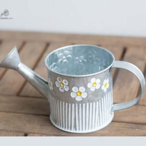 Arrosoir en Acier Galvanisé