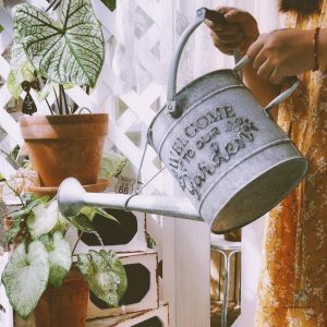 Arrosoir en métal, accessoire de jardinage intemporel