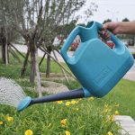 Arrosoir élégant avec pomme pour arroser vos plantes