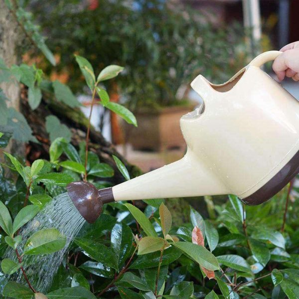 Arrosoir ergonomique avec pommeau pour un usage confortable
