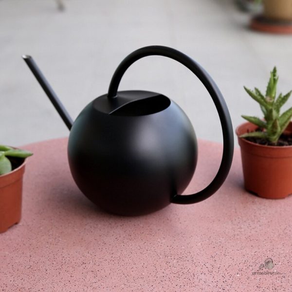 Arrosoir design à bec fin pour un arrosage précis