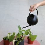 Arrosoir élégant au design soigné et bec fin