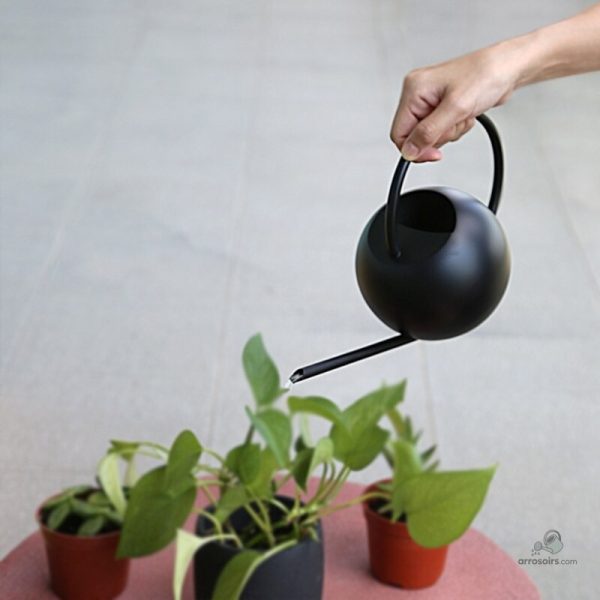 Arrosoir élégant au design soigné et bec fin