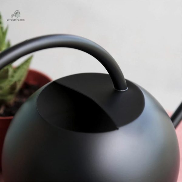 Accessoire de jardinage : arrosoir à bec fin design