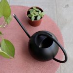 Arrosoir esthétique avec bec fin pour plantes d'intérieur