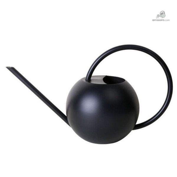 Arrosoir design pour un arrosage ciblé et esthétique