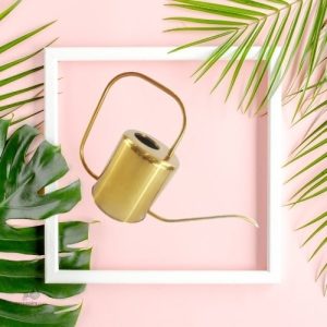 Arrosoir Design à bec long pour un arrosage précis