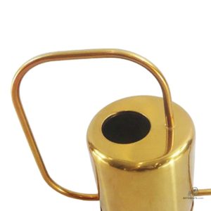 Arrosoir élégant avec long bec pour atteindre les plantes