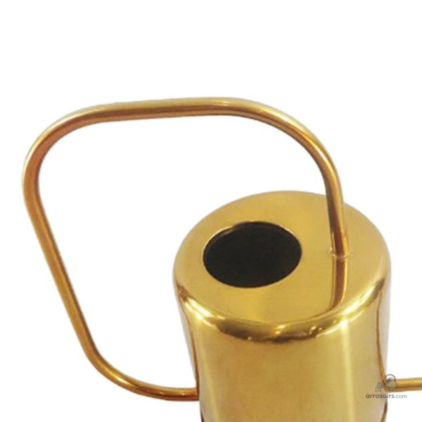 Arrosoir élégant avec long bec pour atteindre les plantes