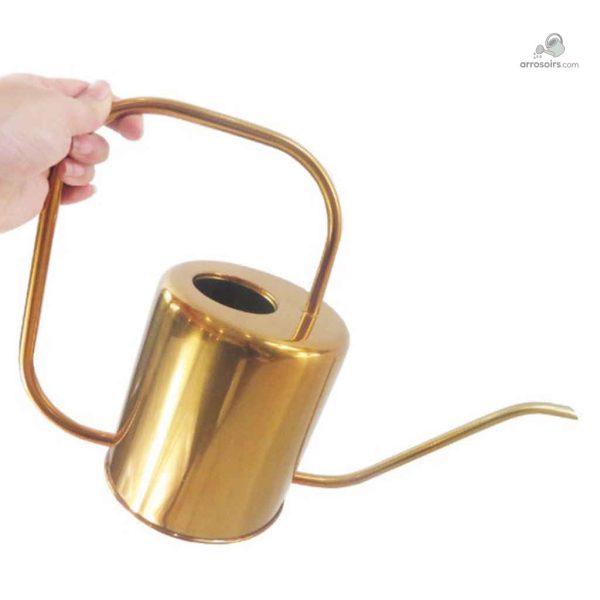Arrosoir au design soigné, idéal pour le jardinage