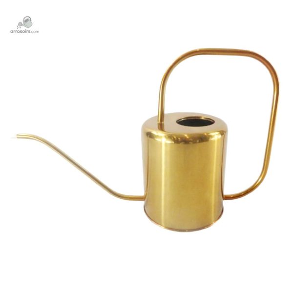 Arrosoir fonctionnel, parfait pour arroser en profondeur