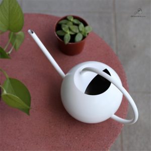 Arrosoir Blanc élégant pour le jardinage