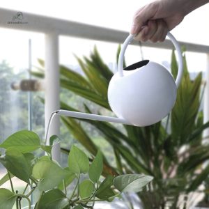 Arrosoir design blanc pour l'arrosage des plantes
