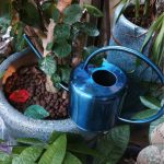 Arrosoir Bleu élégant pour l'arrosage des plantes