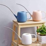 Arrosoir Bonsaï d'intérieur pour arrosage précis des plantes