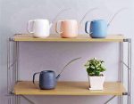 Arrosoir compact pour l'entretien des bonsaïs d'intérieur