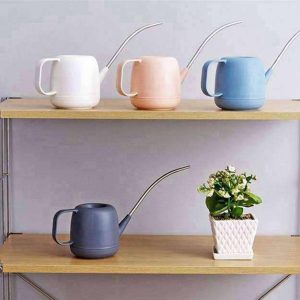 Arrosoir compact pour l'entretien des bonsaïs d'intérieur
