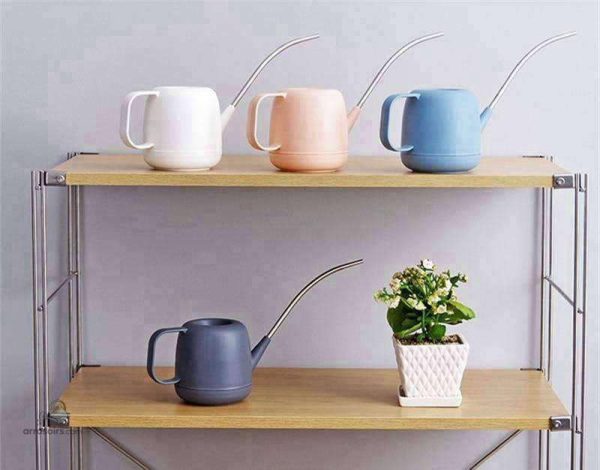 Arrosoir compact pour l'entretien des bonsaïs d'intérieur