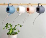 Design élégant d'arrosoir pour plantes d'intérieur délicates