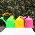 Arrosoir flashy, parfait pour l'arrosage des plantes d'intérieur