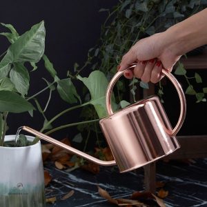 Arrosoir en cuivre élégant pour l'arrosage des plantes