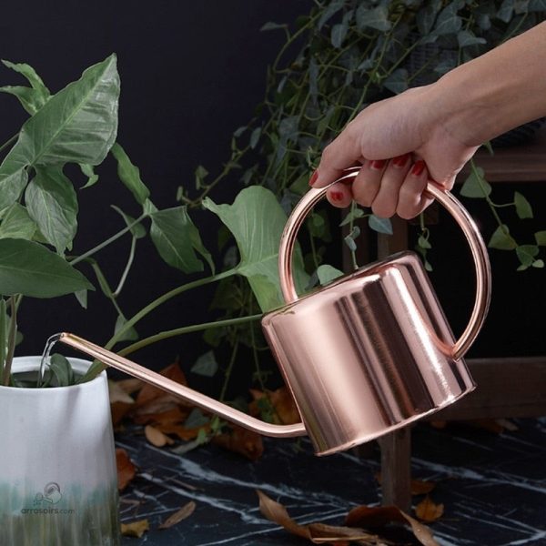 arrosoir-cuivre-1 Arrosoir en cuivre élégant pour l'arrosage des plantes