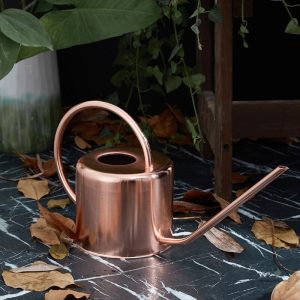 Arrosoir cuivré décoratif pour jardinage
