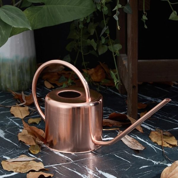 Arrosoir cuivré décoratif pour jardinage