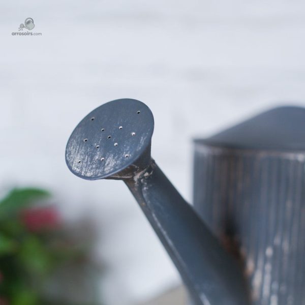 Arrosoir zinc style vintage