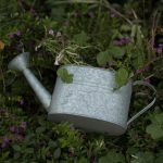 Arrosoir Déco de Jardin élégant et fonctionnel