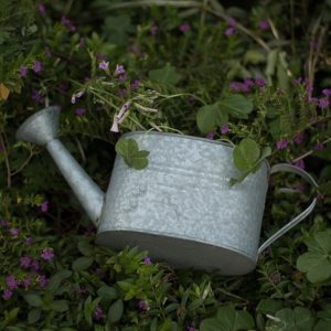 Arrosoir Déco de Jardin élégant et fonctionnel