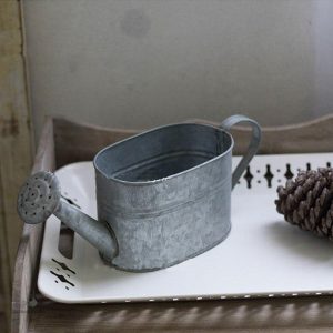 Arrosoir décoratif pour embellir votre jardin