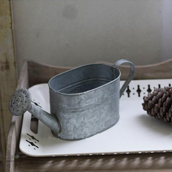 Arrosoir décoratif pour embellir votre jardin