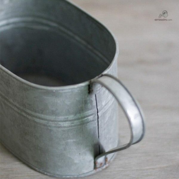 Design original d'arrosoir pour votre espace extérieur