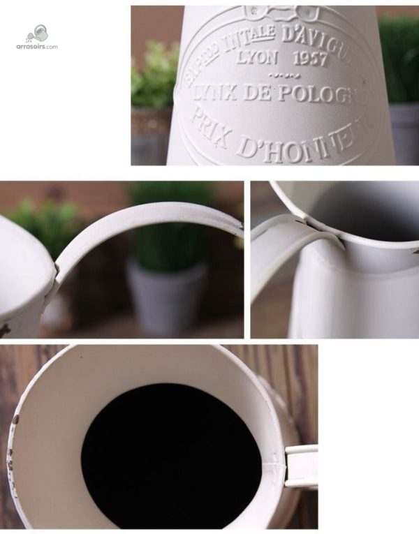 Arrosoir chic pour l'arrosage et la décoration