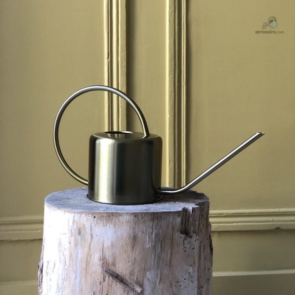 Arrosoir en métal pour une touche décorative dans le jardin