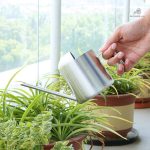 Arrosoir en inox, accessoire de jardinage fonctionnel