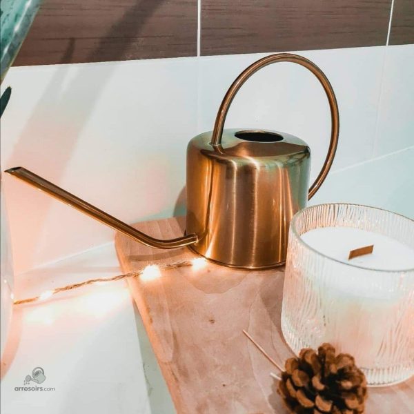 arrosoir-design-dore-en-inox-1 Arrosoir design doré élégant pour jardinage moderne