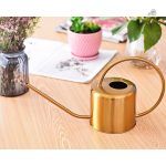 Arrosoir doré, un accessoire pratique et élégant pour le jardin