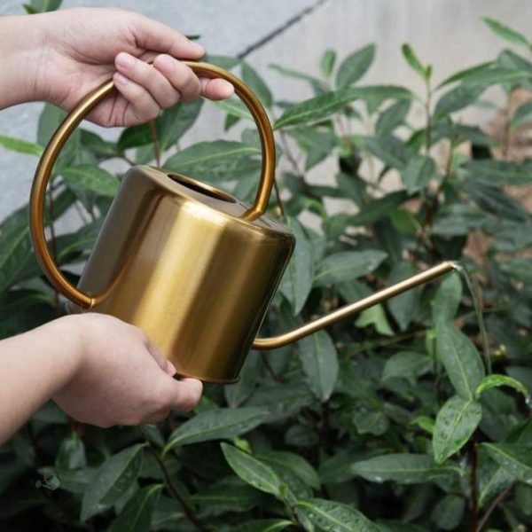 Arrosoir doré au design contemporain pour un style raffiné