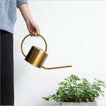 Arrosoir design doré pour arroser avec style