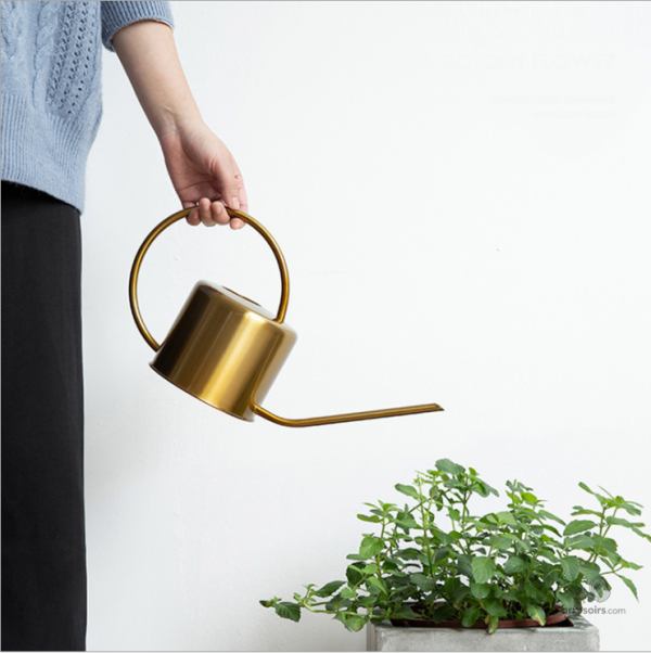 Arrosoir design doré pour arroser avec style