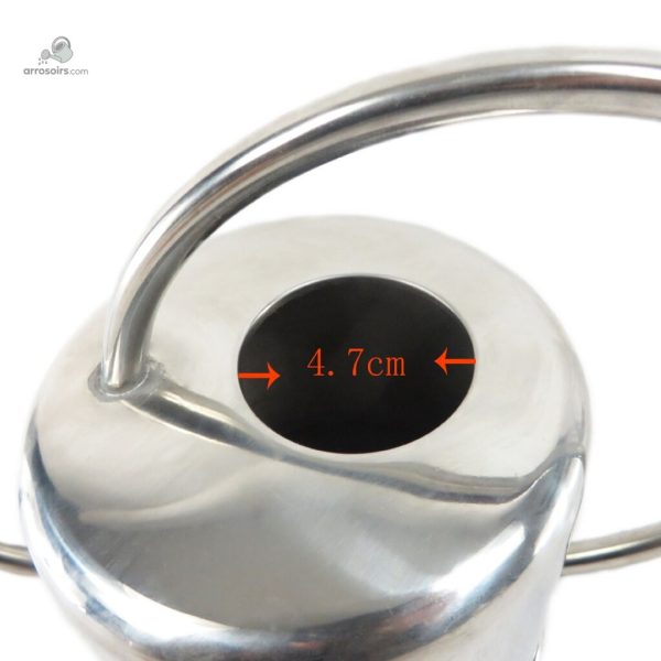Arrosoir design en acier inoxydable pratique