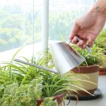 Arrosoir en acier inox pour jardinage